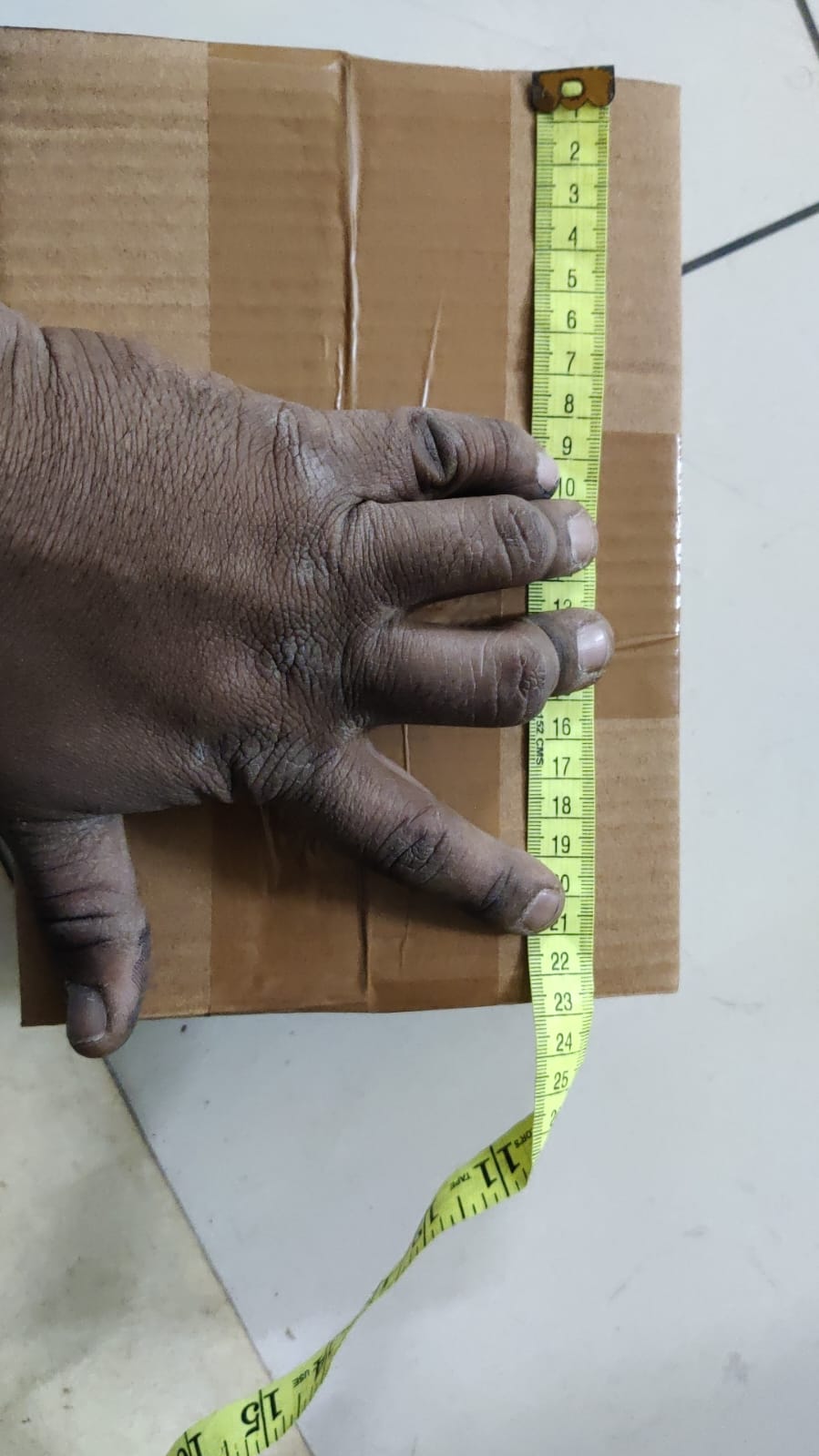 Colorful Star Building Blocks Toys for Kids Boys Girls Multicolor (300 Pcs)